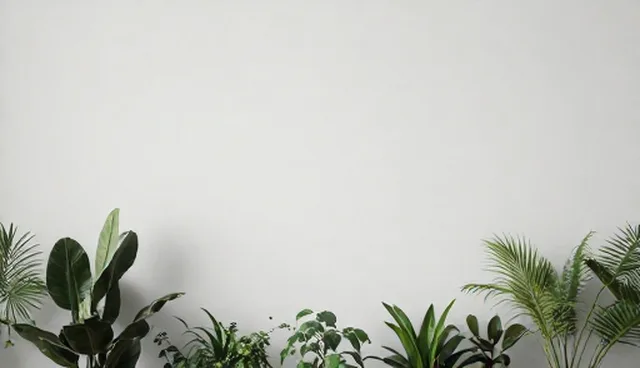 技术培训中选型常见误区与正确理解